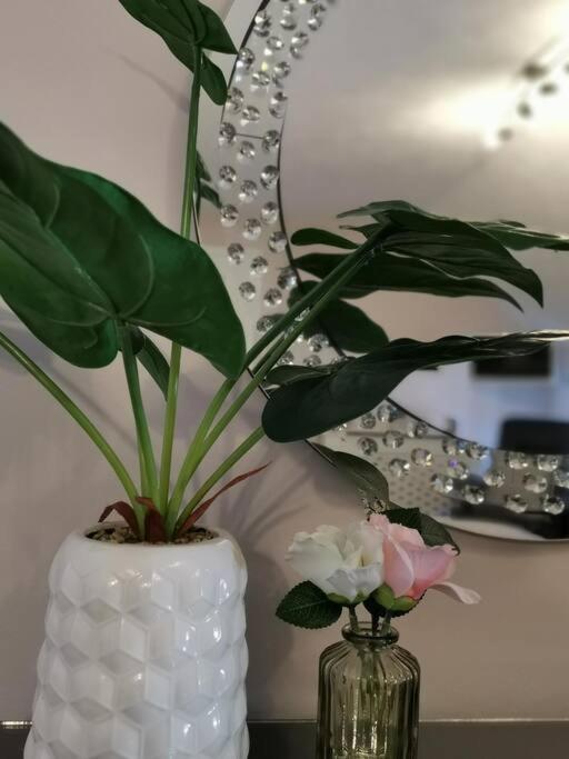 B'Dazzled Flat, Castletown Apartment เธอร์โซ ภายนอก รูปภาพ